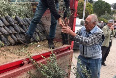 Muğla’nın Marmaris ve Datça ilçelerinde yaşanan orman yangınlarında zeytin bahçeleri yanan köylere zeytin fidanı yardımında bulunduk