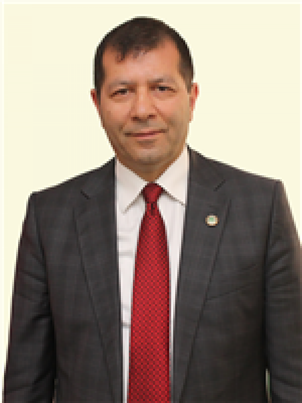 Yalçın TOY